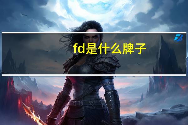 fd是什么牌子