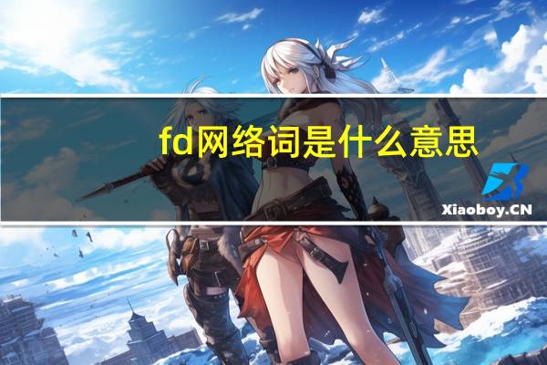 fd网络词是什么意思
