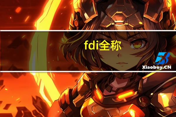 fdi全称
