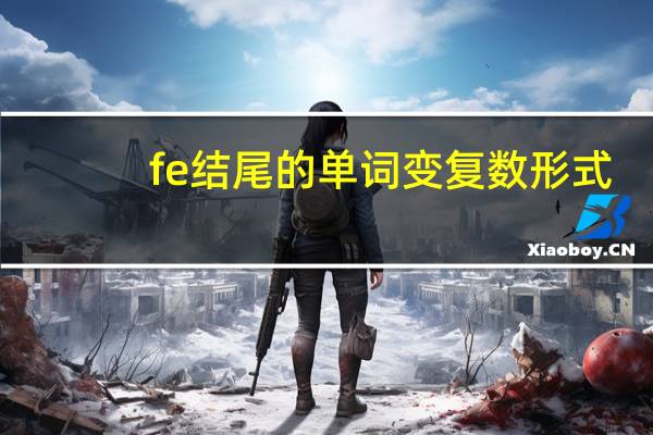 fe结尾的单词变复数形式