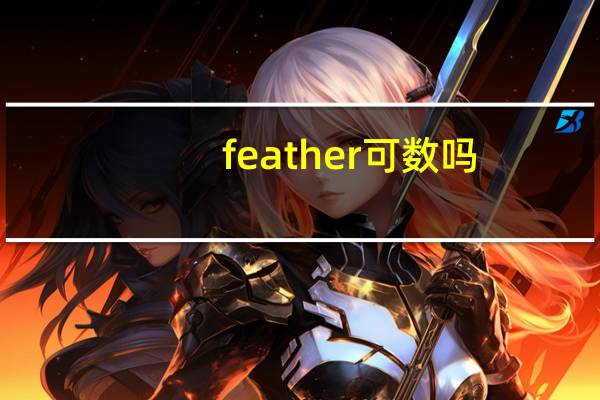 feather可数吗