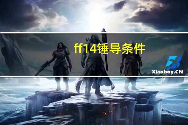 ff14锤导条件