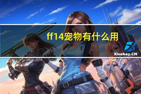 ff14宠物有什么用