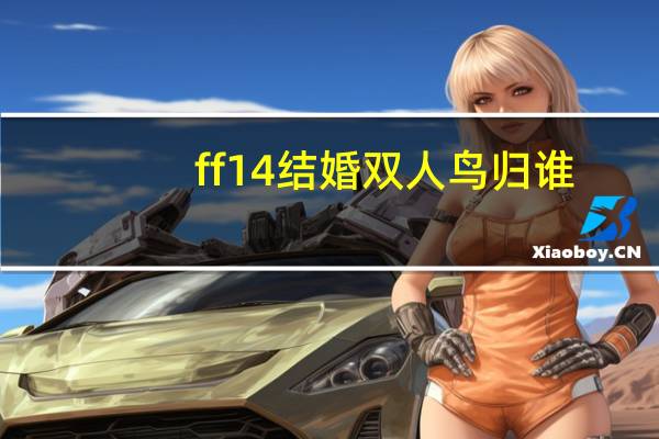 ff14结婚双人鸟归谁