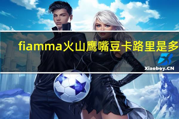 fiamma 火山鹰嘴豆卡路里是多少
