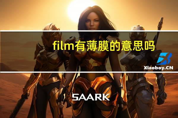 film有薄膜的意思吗