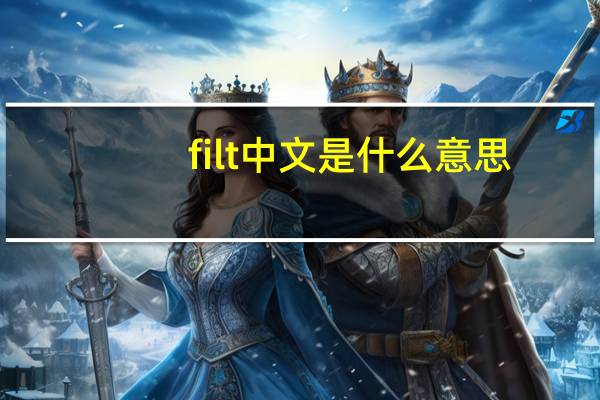 filt中文是什么意思