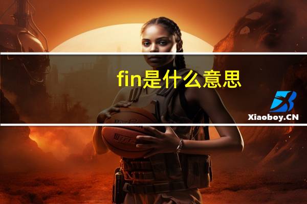 fin是什么意思？