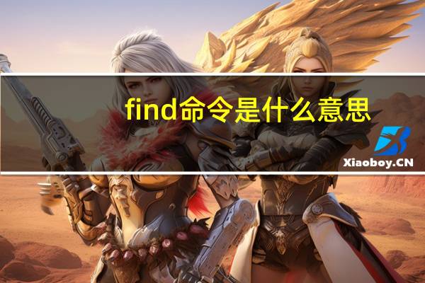 find命令是什么意思