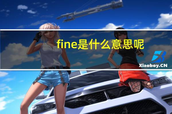 fine是什么意思呢