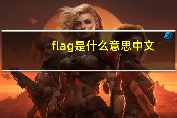 flag是什么意思中文