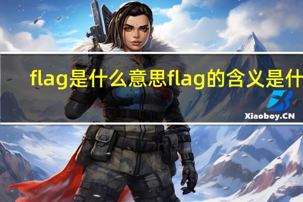 flag是什么意思 flag的含义是什么