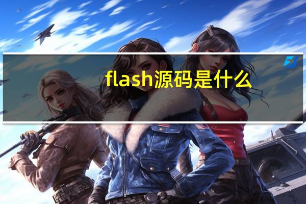 flash源码是什么