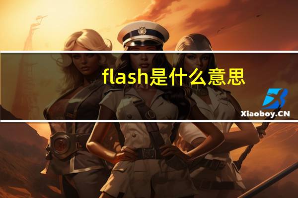 flash是什么意思