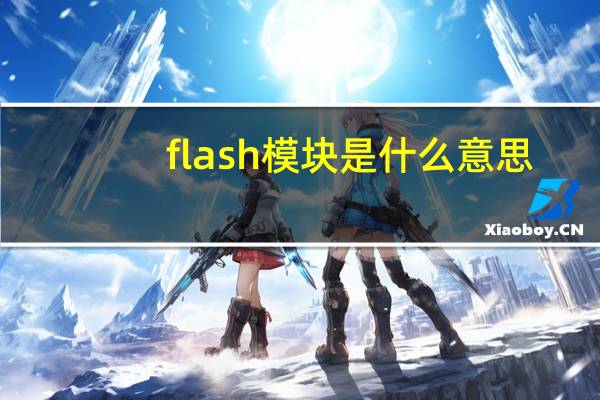 flash模块是什么意思（flash模块）