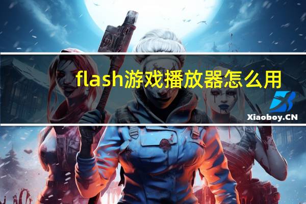 flash游戏播放器怎么用