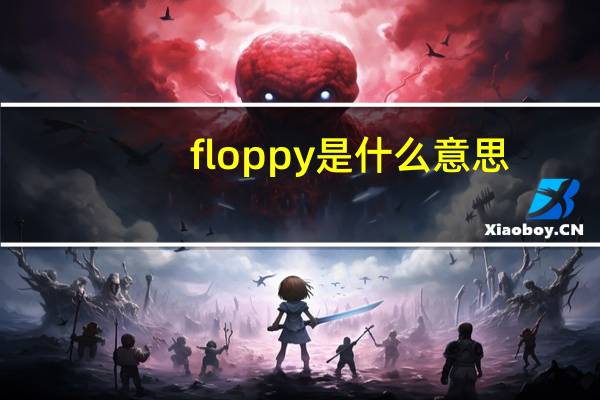 floppy是什么意思（floppy是什么意思）