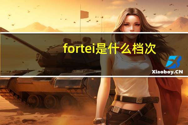 fortei是什么档次
