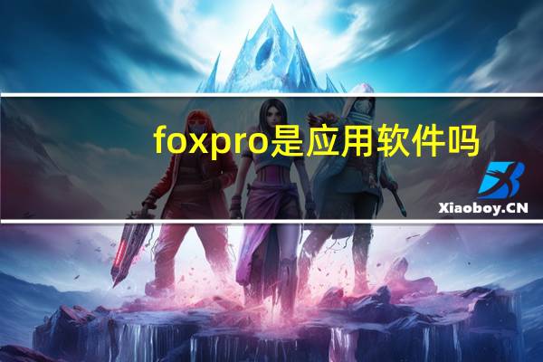 foxpro是应用软件吗