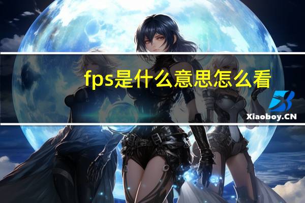 fps是什么意思怎么看（fps是什么意思）