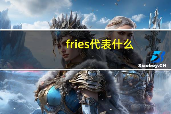 fries代表什么