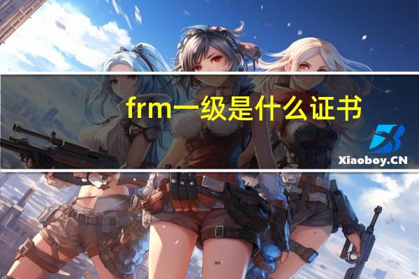 frm一级是什么证书