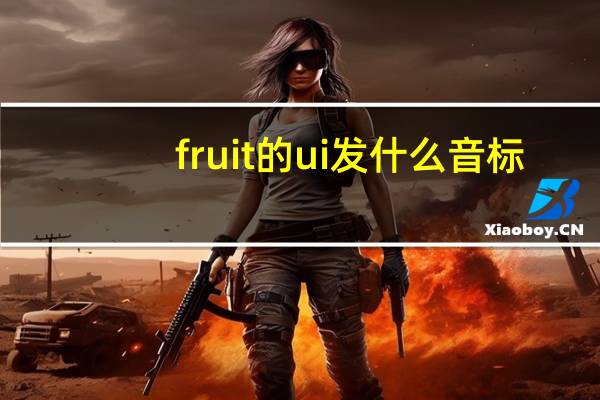 fruit的ui发什么音标