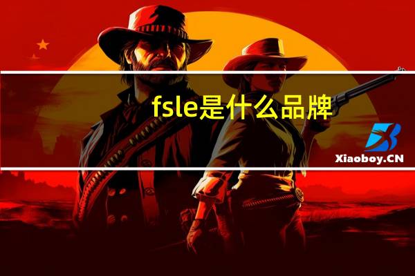 fsle是什么品牌