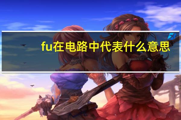 fu在电路中代表什么意思