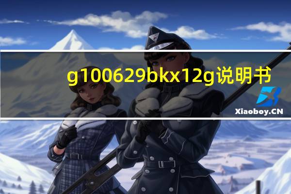 g100629bkx12g说明书（g100629bkx12g）