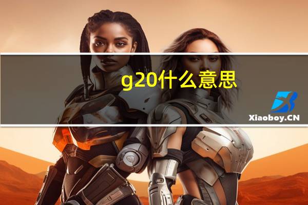 g20什么意思