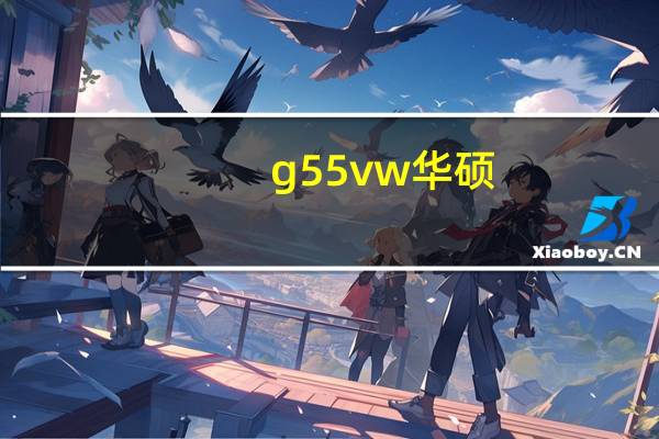 g55vw 华硕（g55vw）