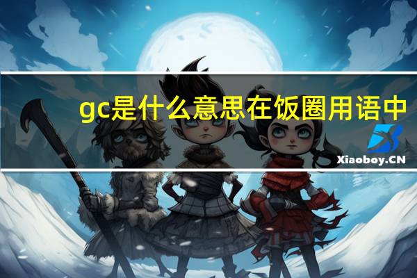 gc是什么意思在饭圈用语中（gc是什么意思）