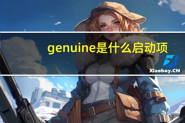 genuine是什么启动项