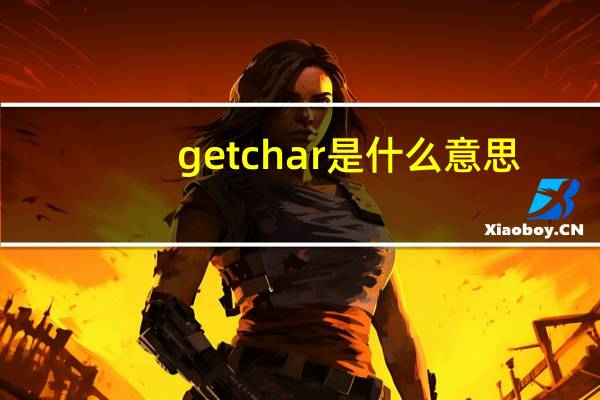 getchar是什么意思