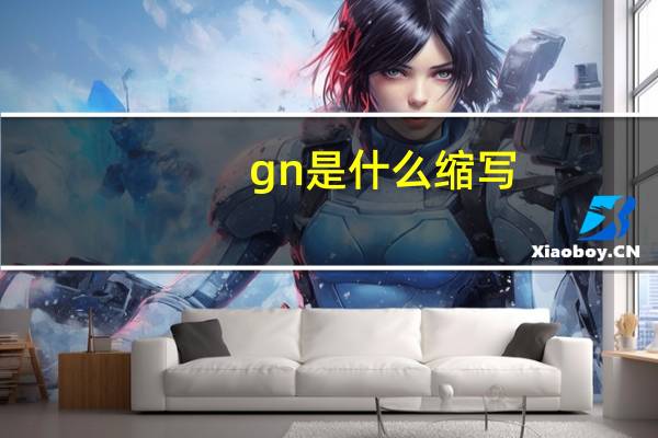 gn是什么缩写