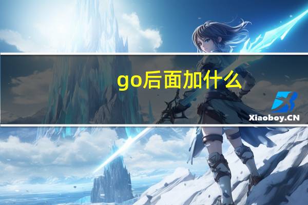 go后面加什么