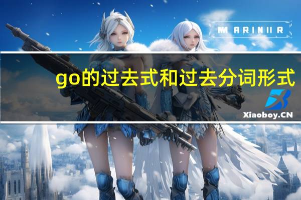 go 的过去式和过去分词形式