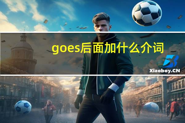 goes后面加什么介词