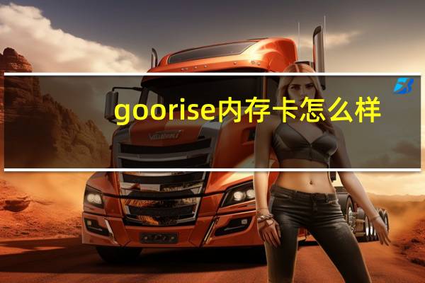 goorise内存卡怎么样