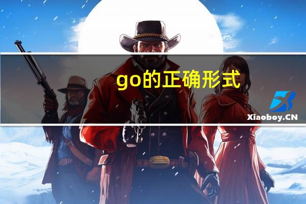 go的正确形式