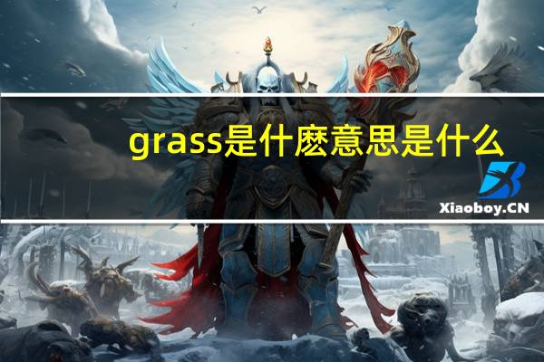 grass是什麽意思是什么