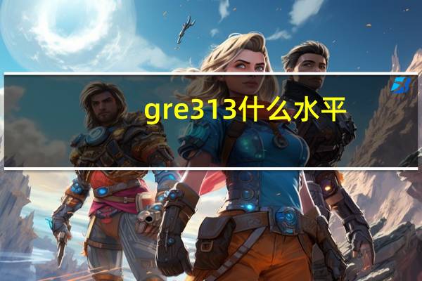 gre 313什么水平