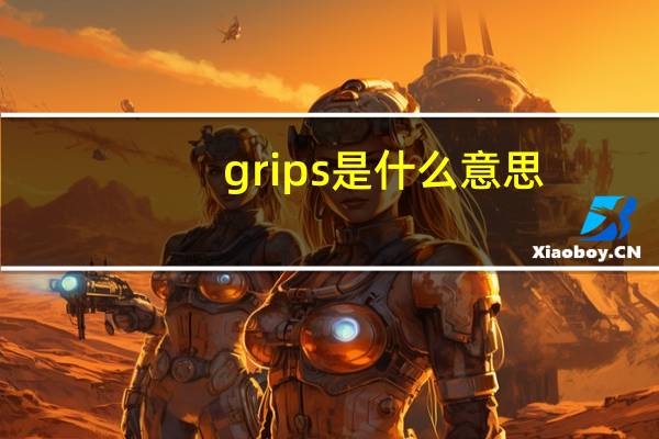 grips是什么意思（grip）