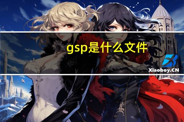 gsp是什么文件（gsp文件）