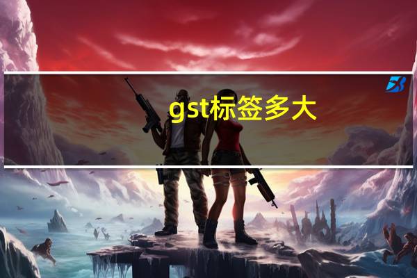 gst标签多大