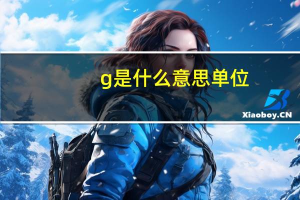 g是什么意思单位