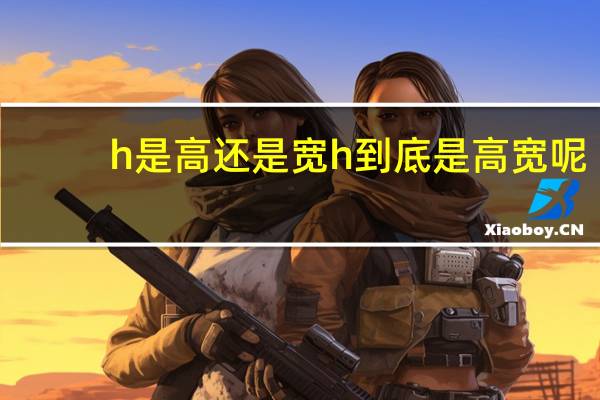 h是高还是宽 h到底是高宽呢