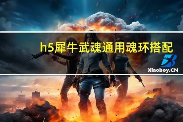 h5犀牛武魂通用魂环搭配