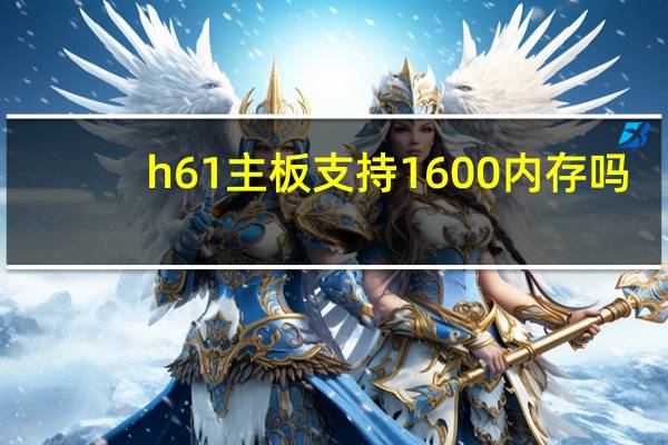 h61主板支持1600内存吗